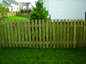 Picket Fence